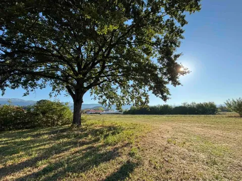 Prodaja, plac, 17168m², Novo Selo, Danilovgrad - image 4