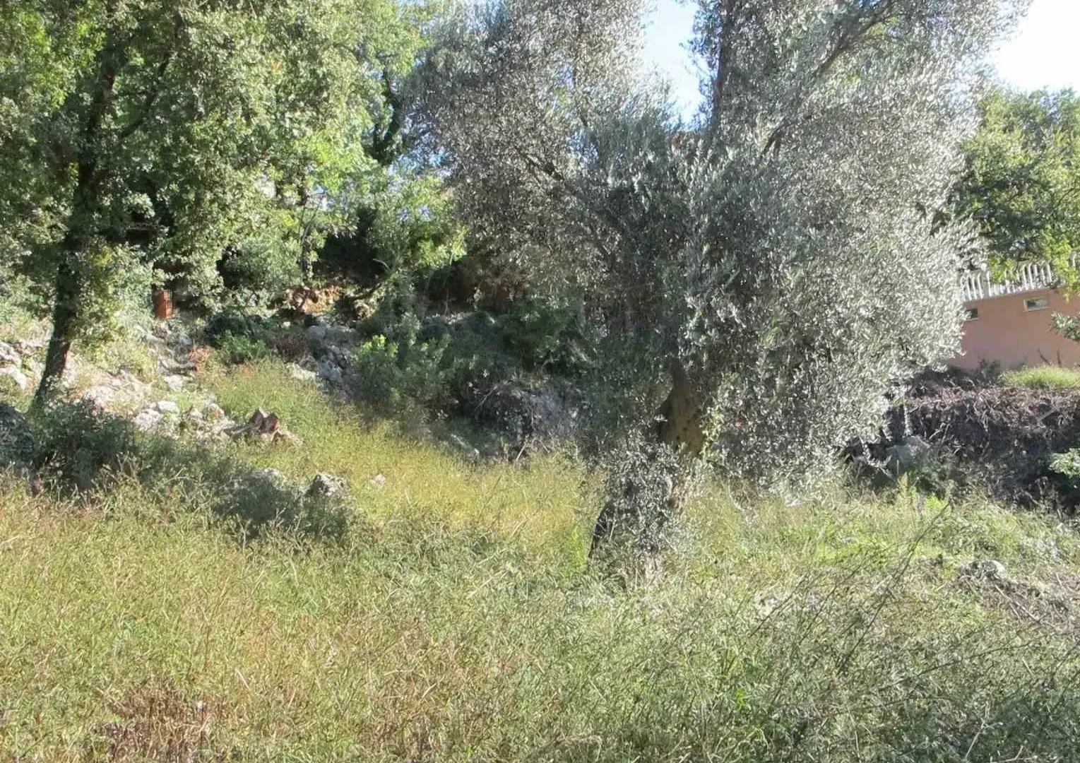 Prodaja, plac, 905m², Ratac, Bar