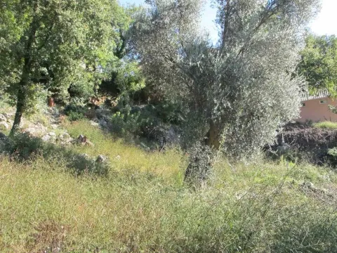 Prodaja, plac, 905m², Ratac, Bar - image 2