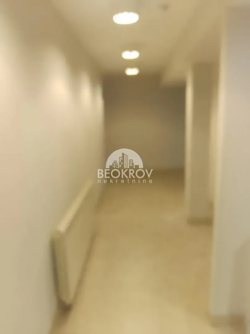 Izdavanje, poslovni prostor, 377m², Lipov Lad, Zvezdara Sve Podlokacije