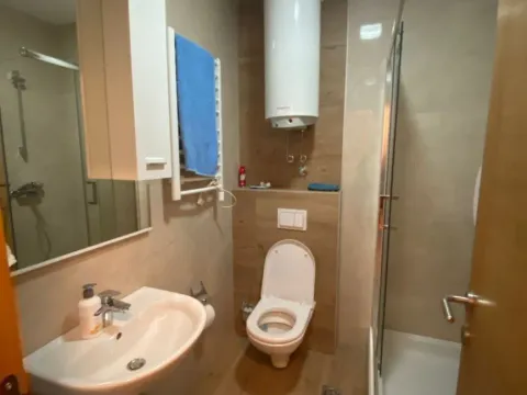 Izdavanje, jednosoban stan, 48m², Blok 9, Podgorica - image 6