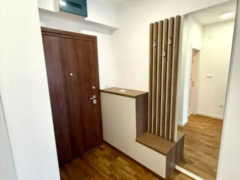 Izdavanje, jednosoban stan, 47m², Stari Aerodrom, Podgorica - image 6