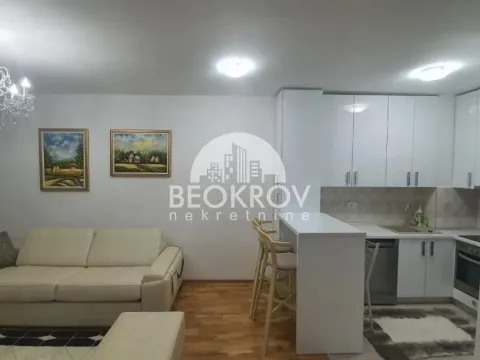 Izdavanje, dvosoban stan, 49m², Profesorska Kolonija, Palilula Sve Podlokacije - image 5