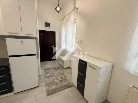 Rent, apartment, 22m², Detelinara, Novi Sad Sve Podlokacije - image 4