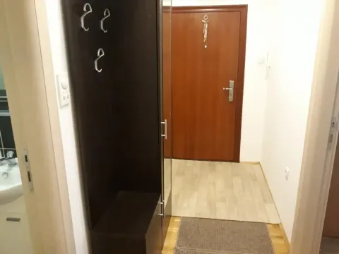 Rent, one bedroom apartment, 42m², Bulevar Oslobodjenja, Novi Sad Sve Podlokacije - image 9