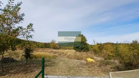 Pogled na zeleno dvorište i travnatu površinu sa niskim rastinjem. - image 2