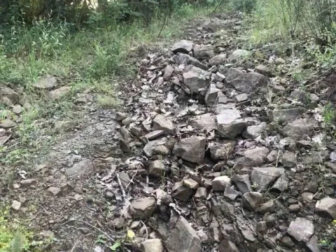 Sale, land lot, 18900m², Velja Gorana, Bar - image 17