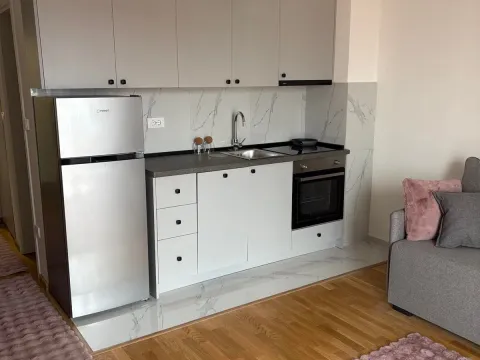 Rent, one bedroom apartment, 33m², Zabjelo, Podgorica - image 3