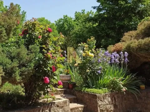 Sale, house, 322m², Ledinci, Petrovaradin - image 3