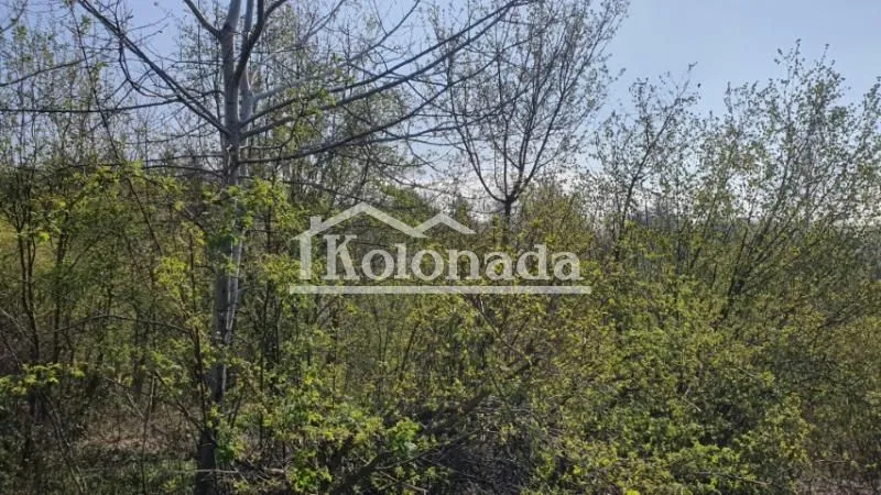 Prodaja, plac, 2432m², Babe, Sopot
