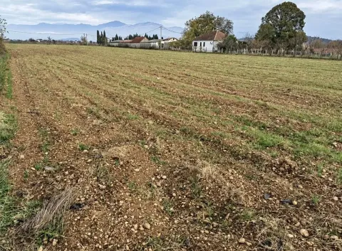Pogled na prostrano poljoprivredno zemljište sa kućom i planinama u pozadini. - image 6