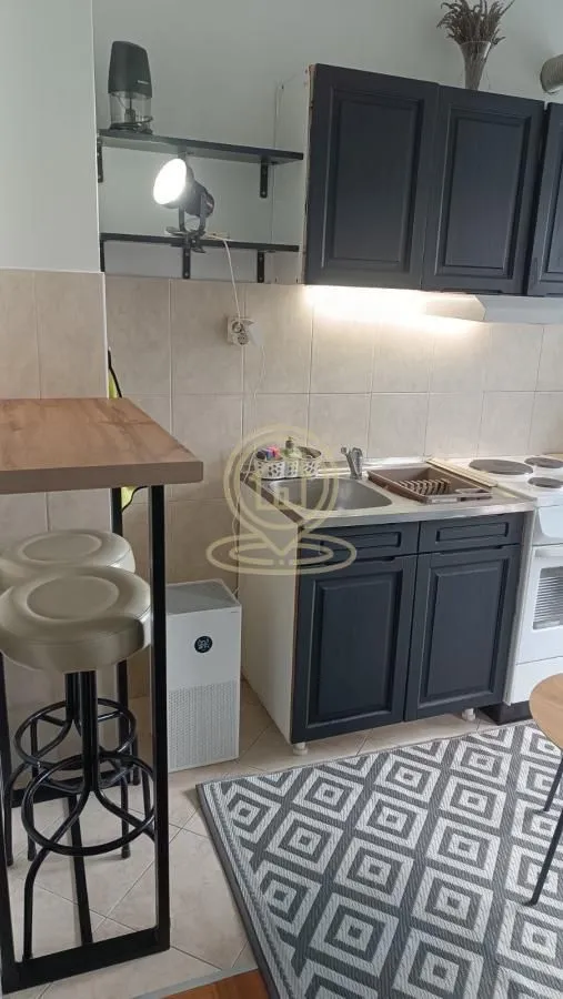 Rent, one bedroom apartment, 38m², Grbavica, Novi Sad Sve Podlokacije