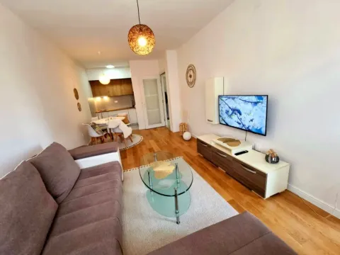 Rent, one bedroom apartment, 47m², Central Point, Podgorica - image 1