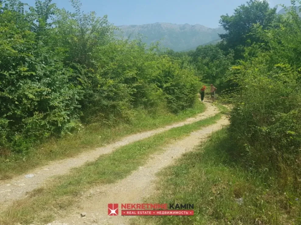 Prodaja, plac, 5915m², Radanovići, Kotor