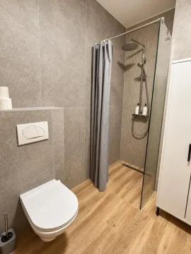 Modern bathroom with a walk-in shower, wall-hung toilet, and wood-effect tiles. - image 6