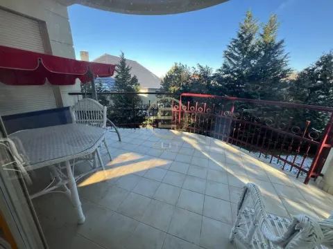 Izdavanje, kuća, 158m², Sremska Kamenica, Petrovaradin - image 28