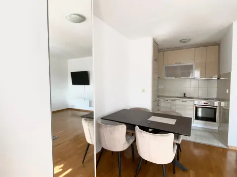 Rent, studio apartment, 40m², Tološka šuma, Podgorica - image 3