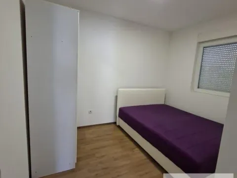Izdavanje, dvosoban stan, 45m², Altina, Beograd - image 3