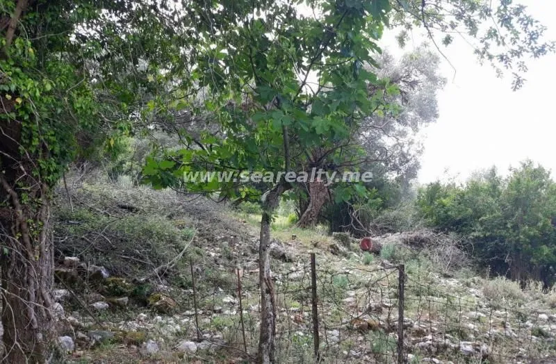 Sale, house, 83m², Kavač, Kotor