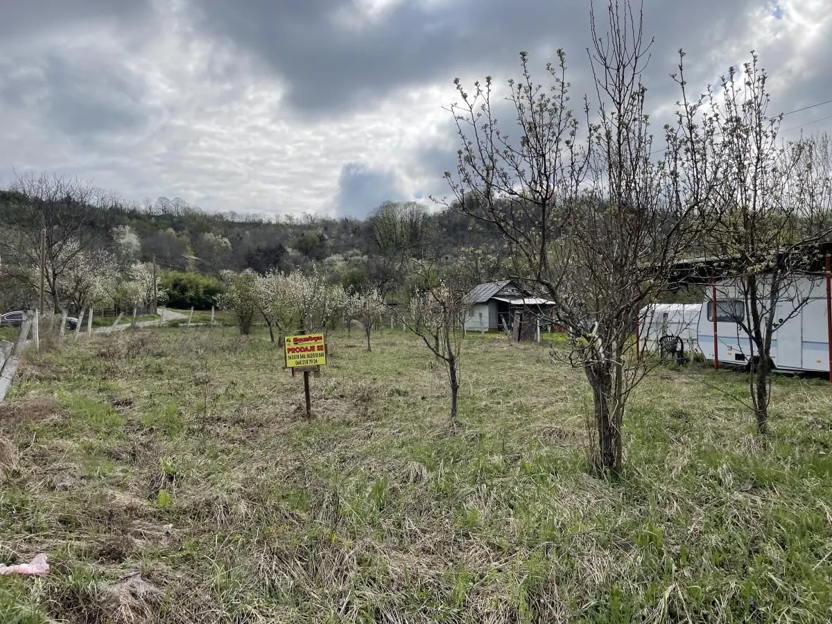 Prodaja, plac, 800m², Sremska Kamenica, Petrovaradin