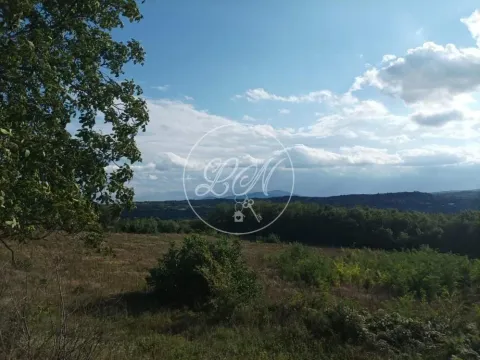 Sale, land lot, Sopot, Beograd