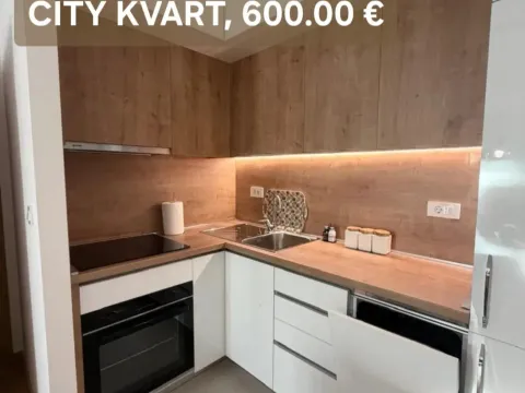 Izdavanje, jednosoban stan, 45m², City Kvart, Podgorica - image 5