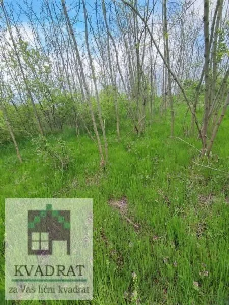 Prodaja, plac, 7000m², Mislodjin, Obrenovac