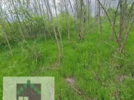 Prodaja, plac, 70m², Mislodjin, Obrenovac - image 2