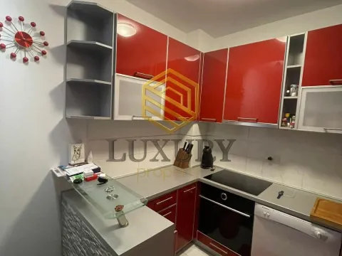 Izdavanje, jednosoban stan, 54m², Zabjelo, Podgorica - image 6