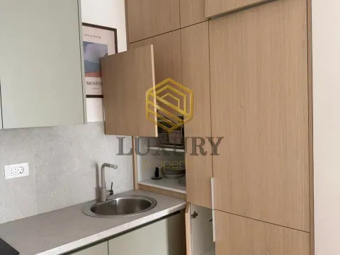 Rent, one bedroom apartment, 47m², Zabjelo, Podgorica - image 4