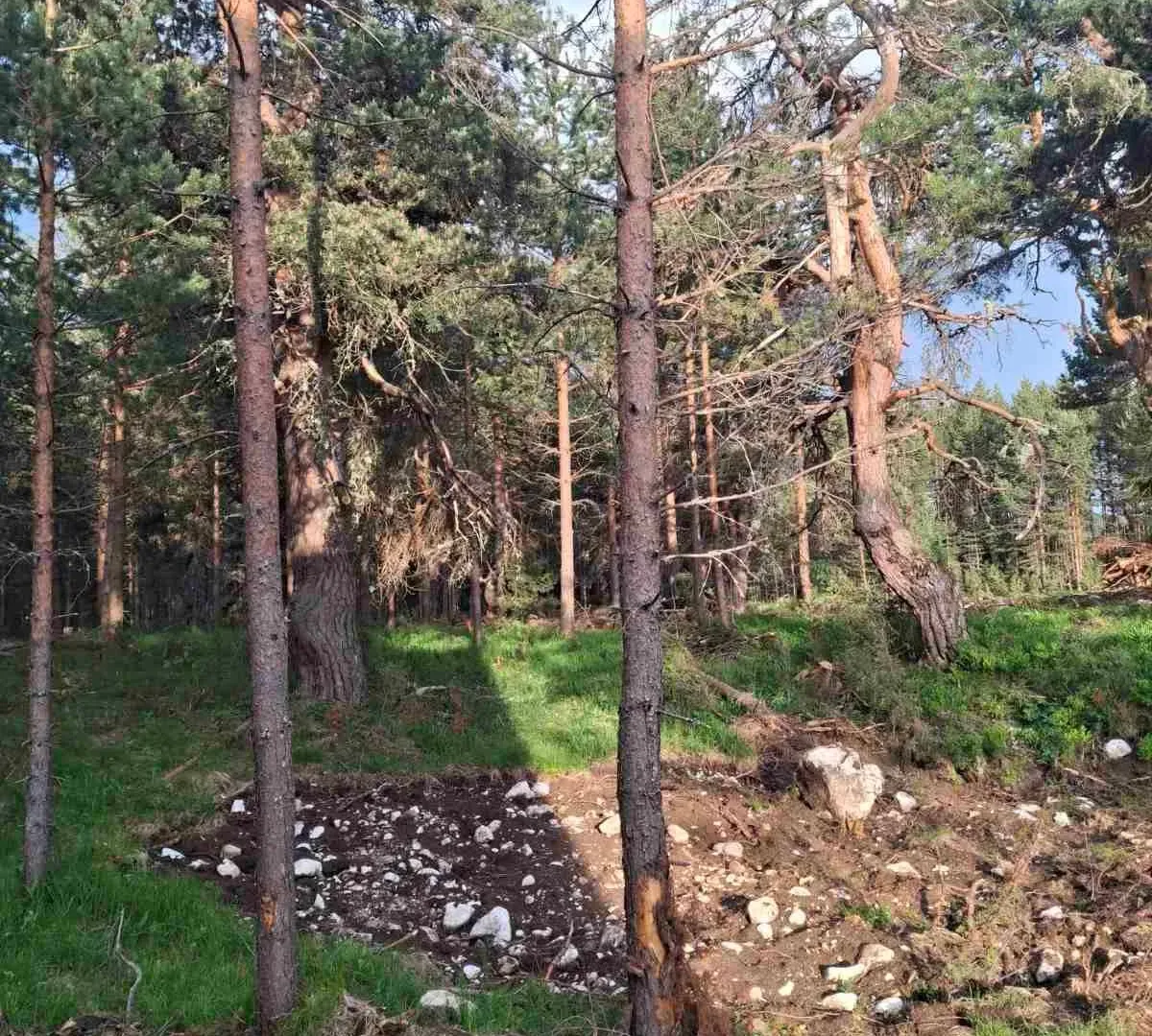Prodaja, plac, 1150m², Žabljak, Crna Gora
