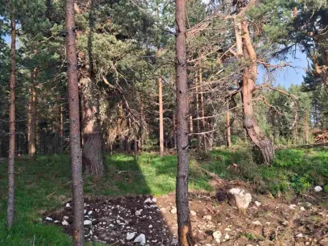 Prodaja, plac, 1150m², Žabljak, Crna Gora - image 5