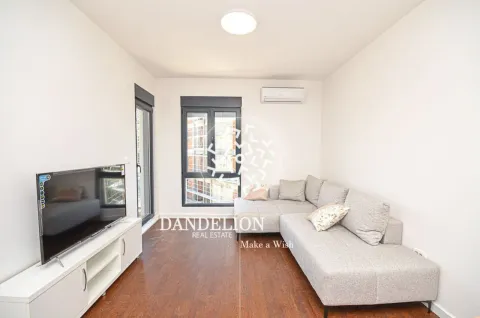 Rent, one bedroom apartment, 59m², Central Point, Podgorica - image 1041