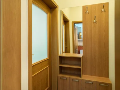 Prodaja, jednosoban stan, 33m², Petrovac, Budva - image 8