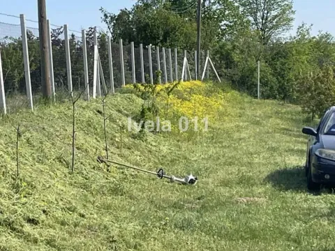 Prodaja, plac, 6200m², Grocka, Beograd - image 12