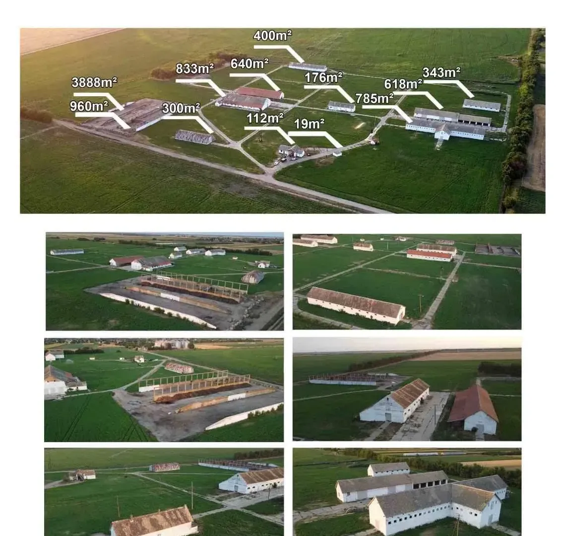 Prodaja, plac, 98000m², Vrbas, Novi Sad