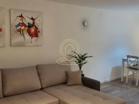 Rent, two bedroom apartment, 50m², Južni Bulevar, Vračar Sve Podlokacije - image 3
