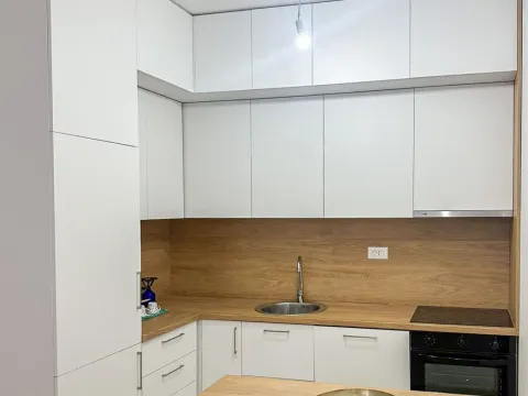 Izdavanje, jednosoban stan, 47m², Zabjelo, Podgorica - image 3