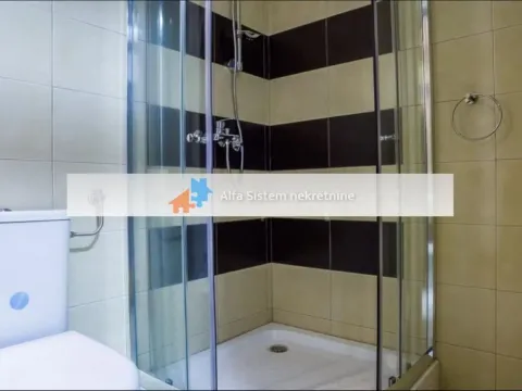 Izdavanje, dvosoban stan, 58m², Savski Venac, Beograd - image 9