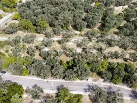 Prodaja, plac, 1700m², Reževići, Budva - image 3