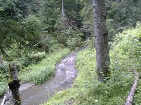 Sale, land lot, 105000m², Mijakovići, Pljevlja - image 5