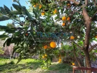 Prodaja, kuća, 80m², Bar, Crna Gora - image 6