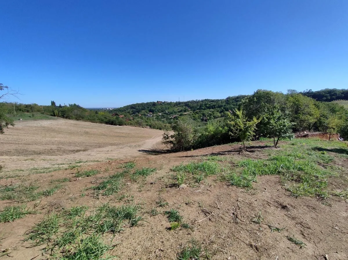 Prodaja, plac, 700m², Sremska Kamenica, Petrovaradin