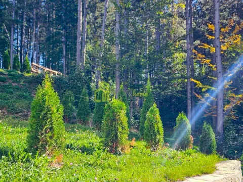 Prodaja, dvosoban stan, 44m², Kolašin, Crna Gora - image 8