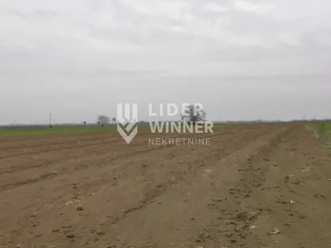 Prodaja, plac, 32930m², Jakovo, Surčin - image 6