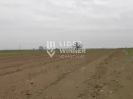 Prodaja, plac, Jakovo, Surčin - image 6