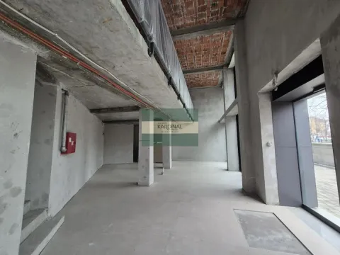 Izdavanje, poslovni prostor, 215m², Centar, Paraćin - image 9