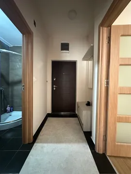 Stan-na-dan, jednosoban stan, 43m², Zabjelo, Podgorica - image 18