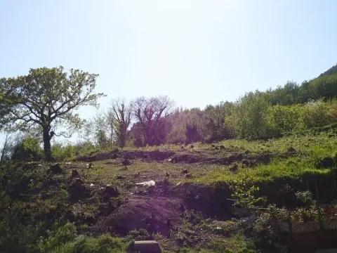 Prodaja, plac, 1600m², Bijela, Herceg Novi - image 5