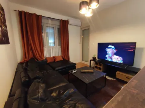 Izdavanje, jednosoban stan, 47m², Central Point, Podgorica - image 3